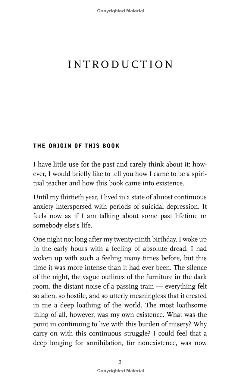 The Power Of Now: A Guide To Spiritual Enlightenment - Ảnh 10