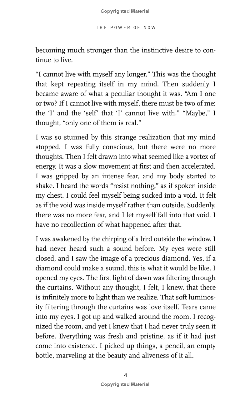 The Power Of Now: A Guide To Spiritual Enlightenment - Ảnh 11