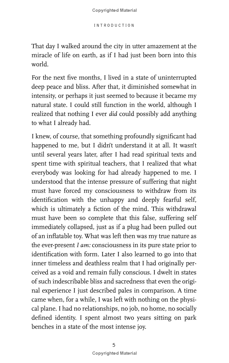 The Power Of Now: A Guide To Spiritual Enlightenment - Ảnh 12