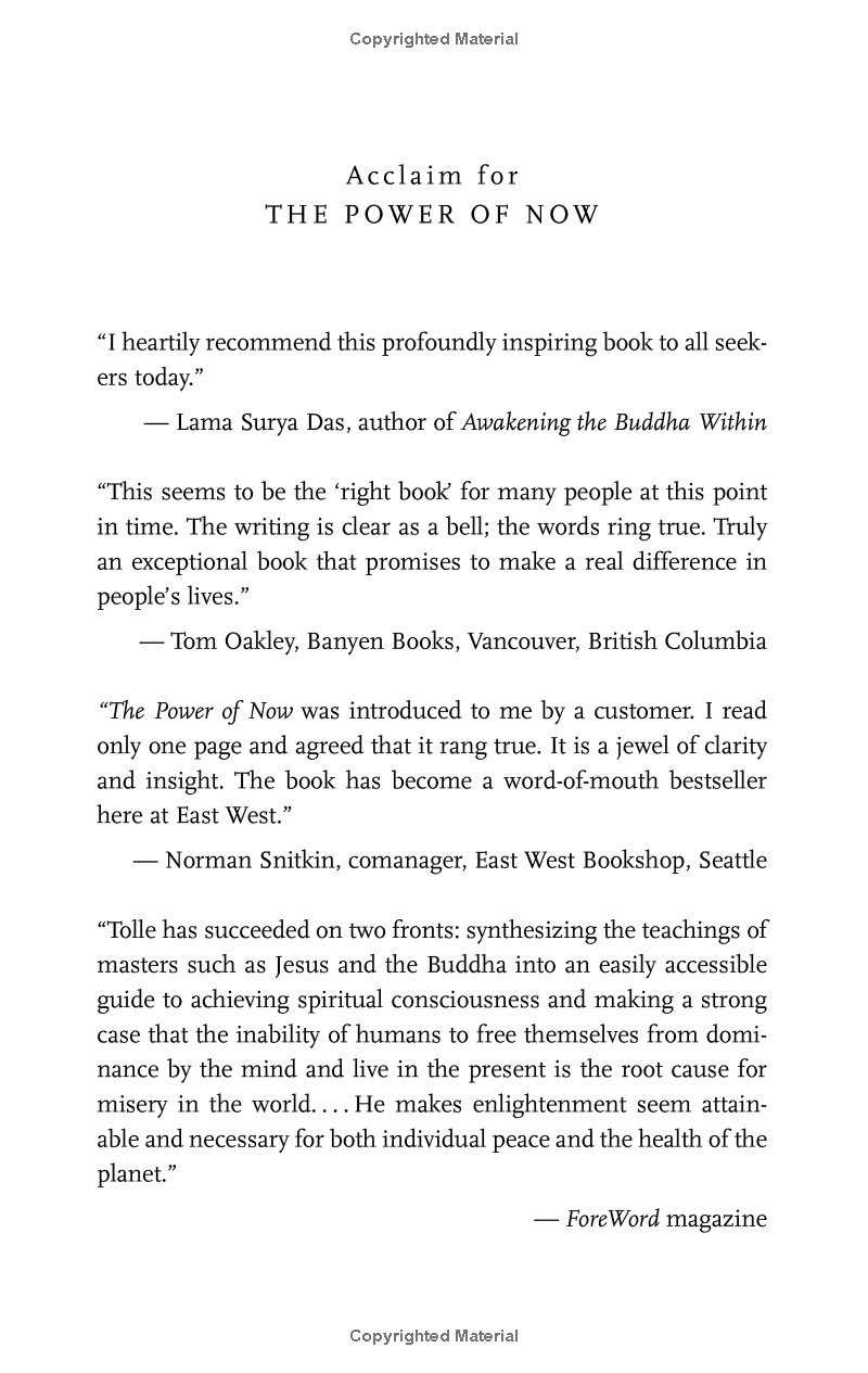 The Power Of Now: A Guide To Spiritual Enlightenment - Ảnh 3