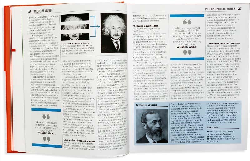 the psychology book (big ideas) - Ảnh 5