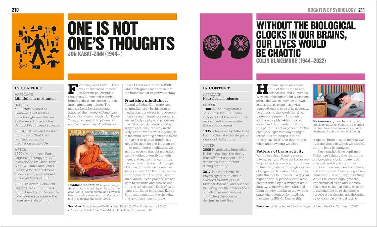 the psychology book - big ideas simply explained - Ảnh 3