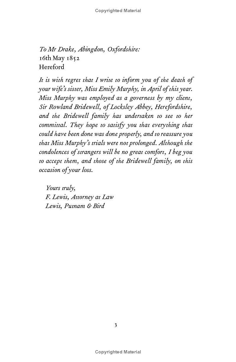 The Puzzle Wood - Ảnh 6