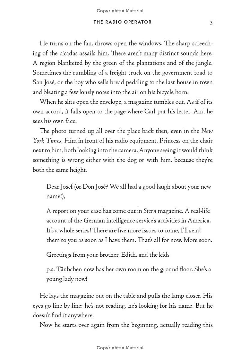 the radio operator - Ảnh 8