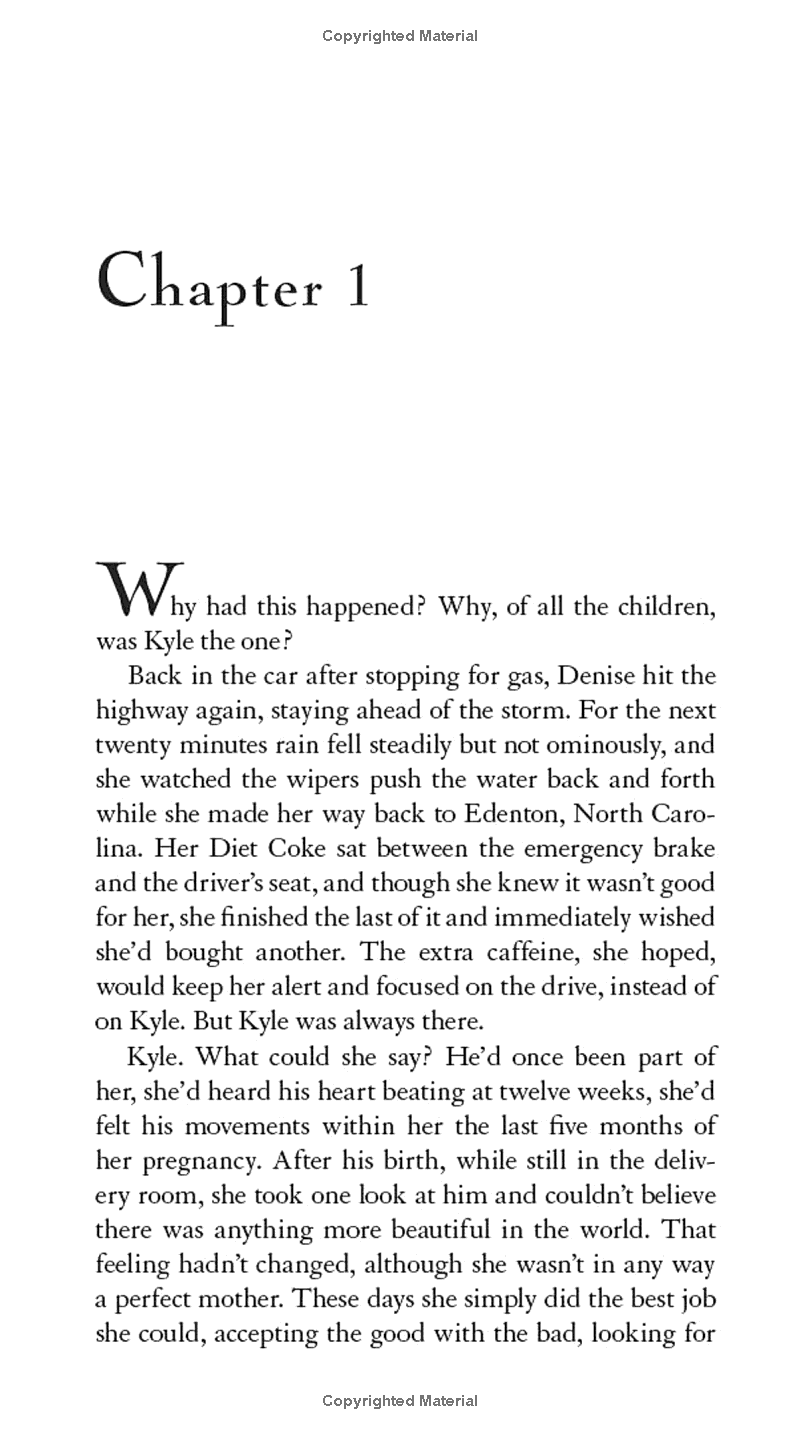 the rescue - Ảnh 4