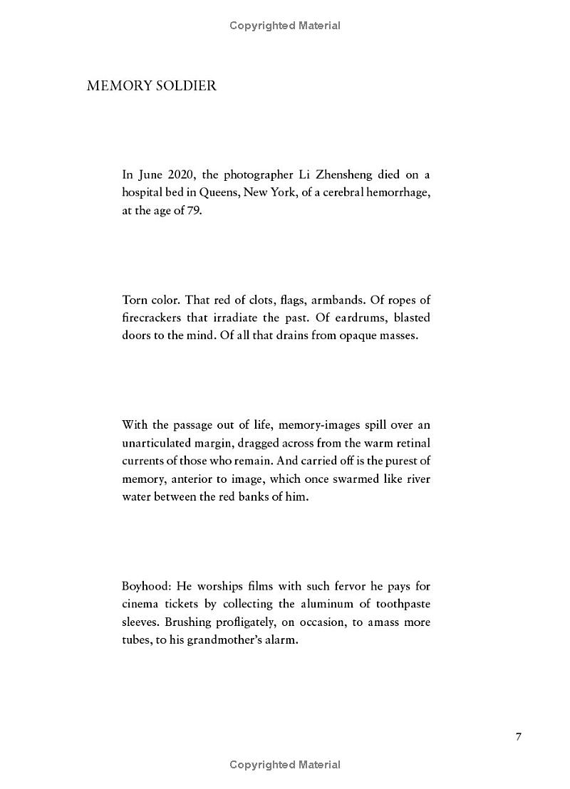 the rupture tense: poems - Ảnh 10