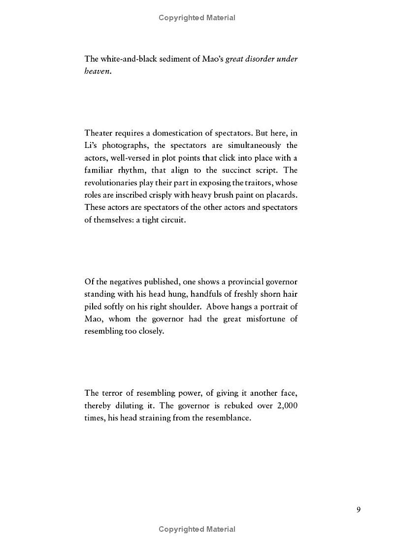 the rupture tense: poems - Ảnh 12