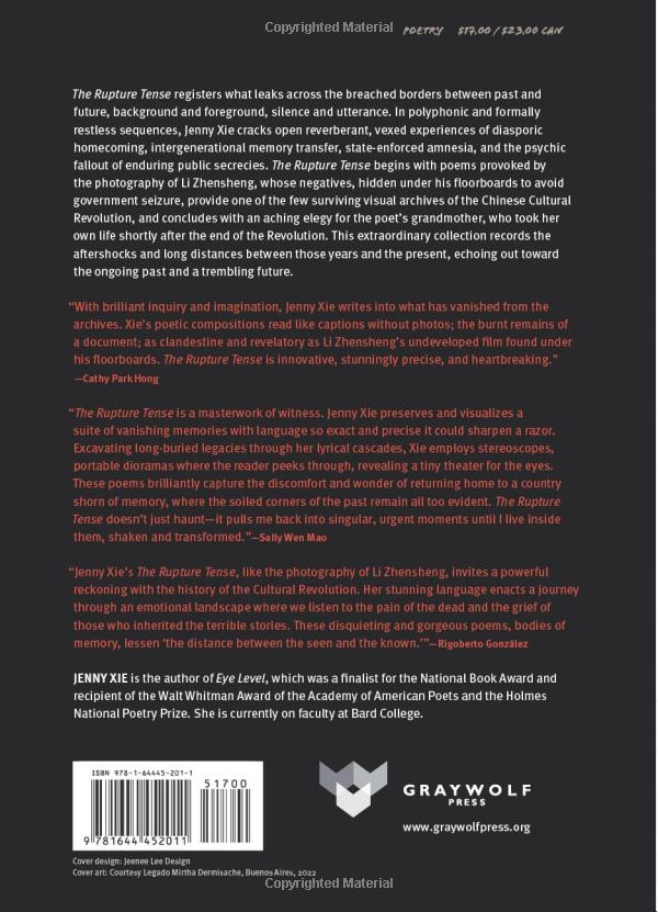 the rupture tense: poems - Ảnh 14