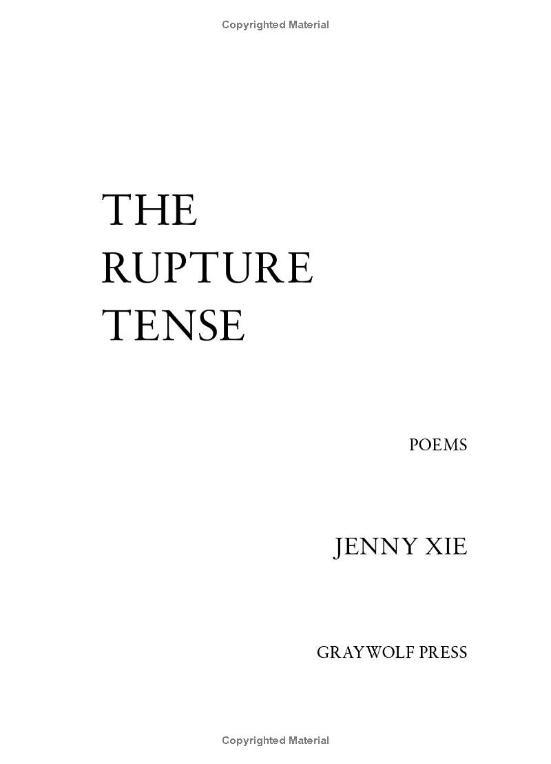 the rupture tense: poems - Ảnh 4