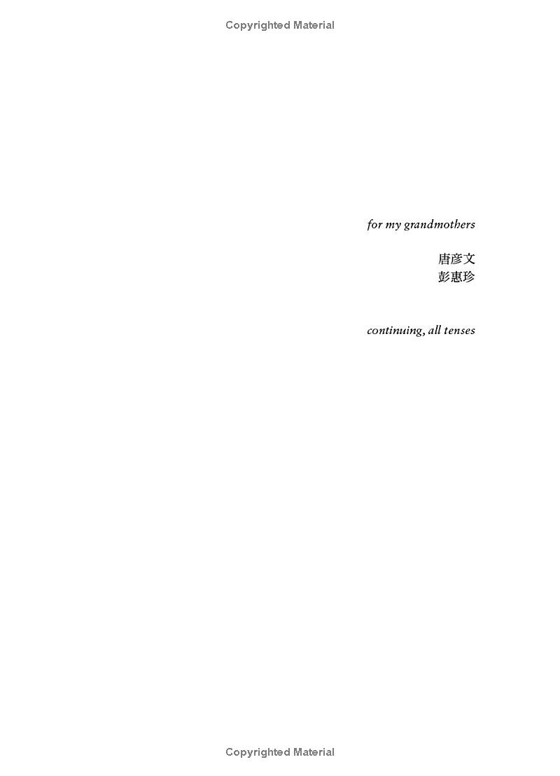 the rupture tense: poems - Ảnh 5