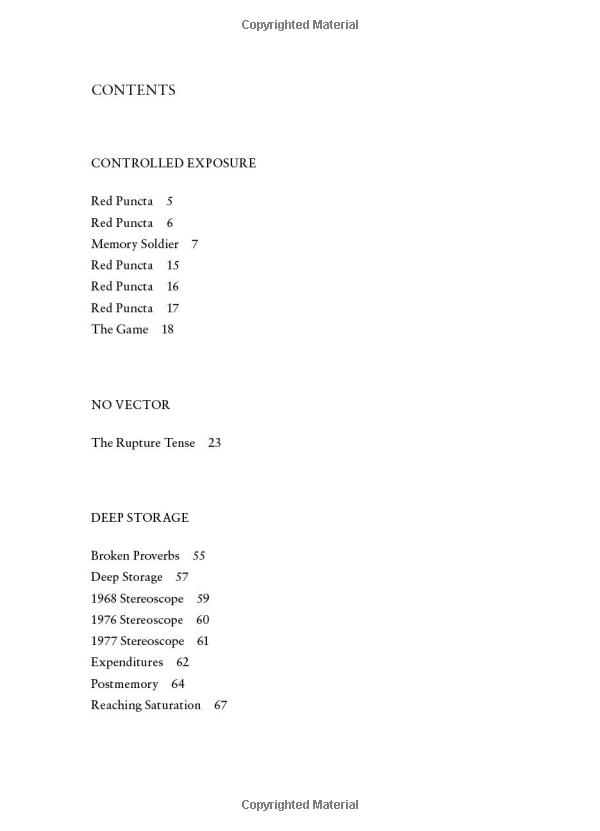 the rupture tense: poems - Ảnh 6