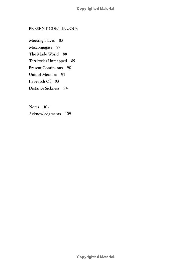 the rupture tense: poems - Ảnh 7