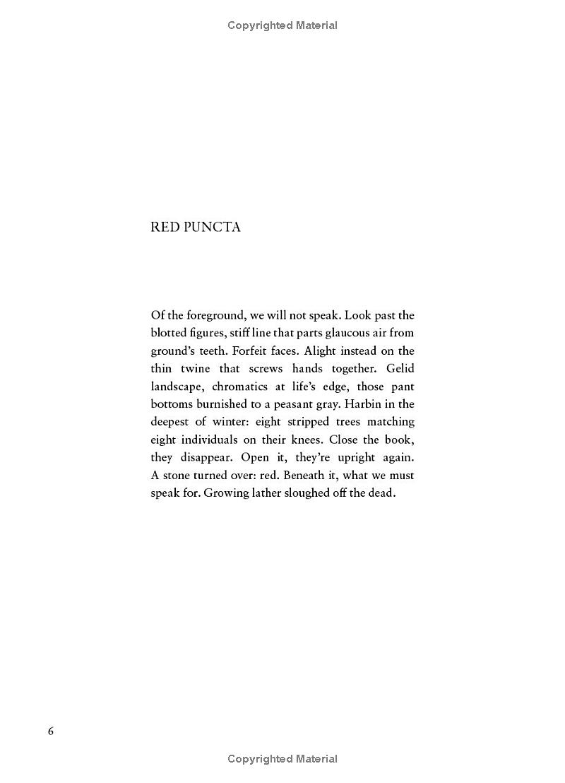 the rupture tense: poems - Ảnh 9
