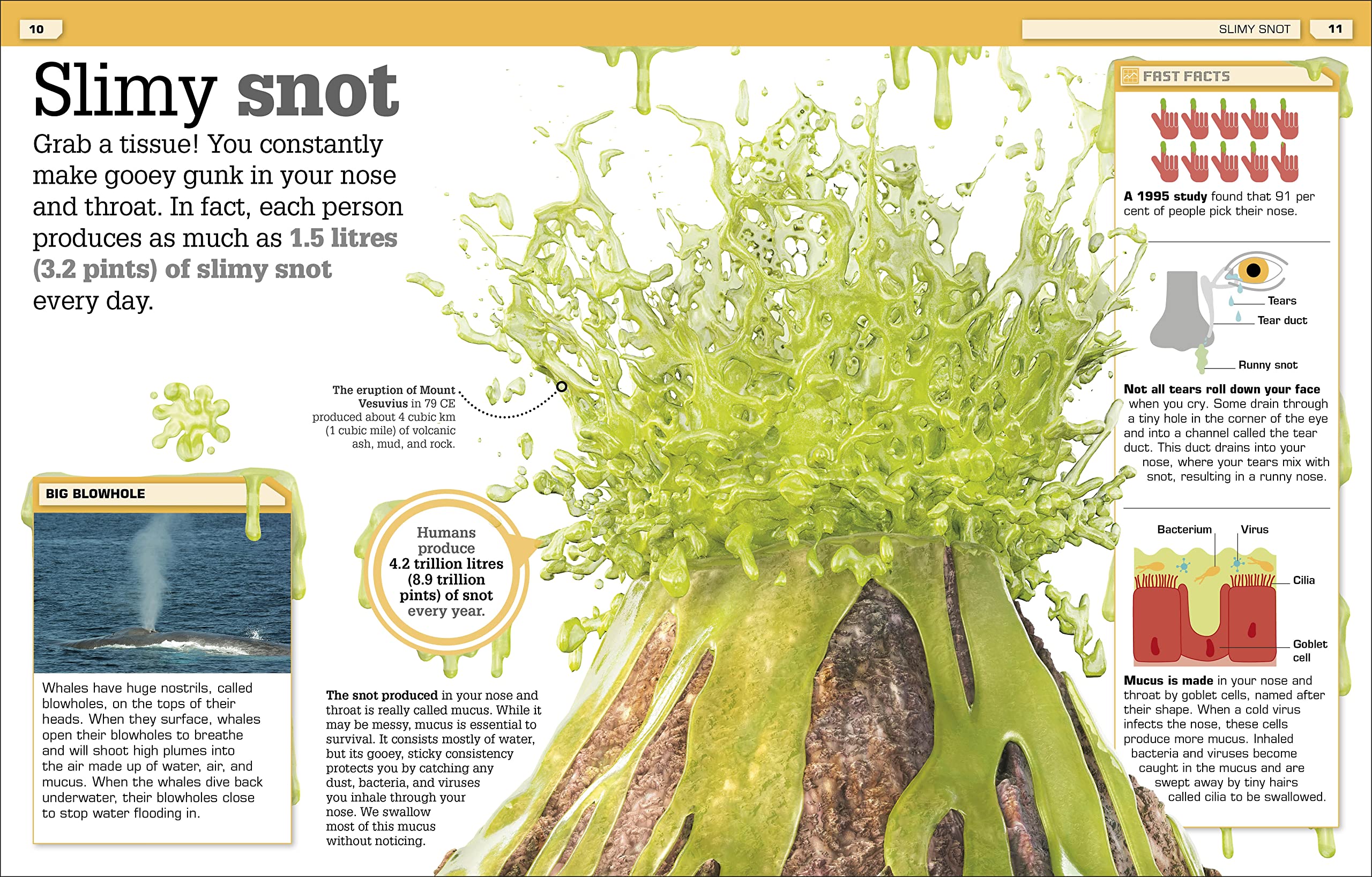 the science of goo!: from saliva and slime to frogspawn and fungus - Ảnh 4