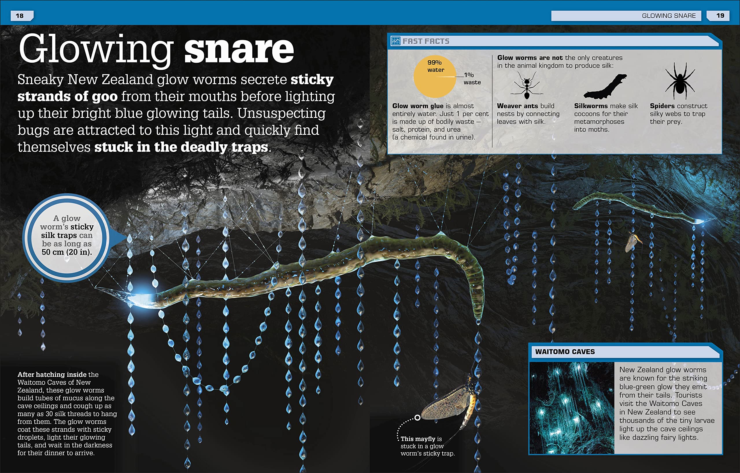 the science of goo!: from saliva and slime to frogspawn and fungus - Ảnh 5
