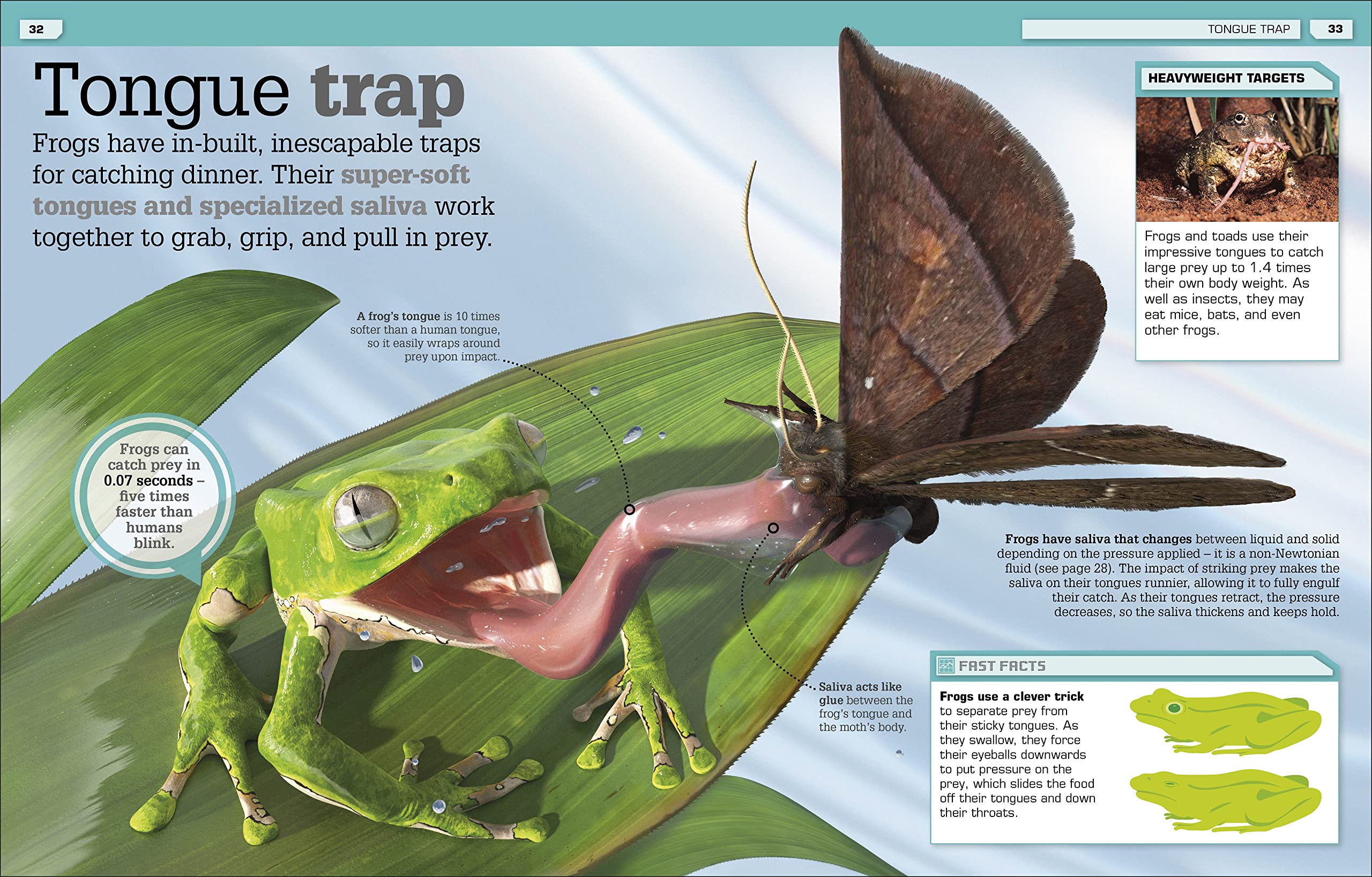 the science of goo!: from saliva and slime to frogspawn and fungus - Ảnh 7