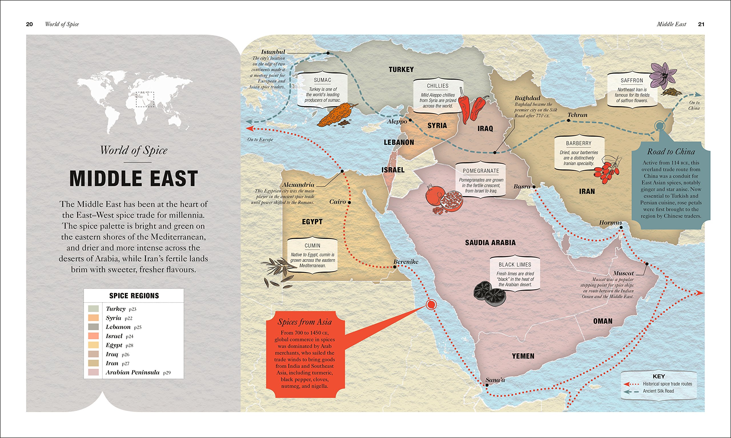 the science of spice: understand flavor connections and revolutionize your cooking - Ảnh 4