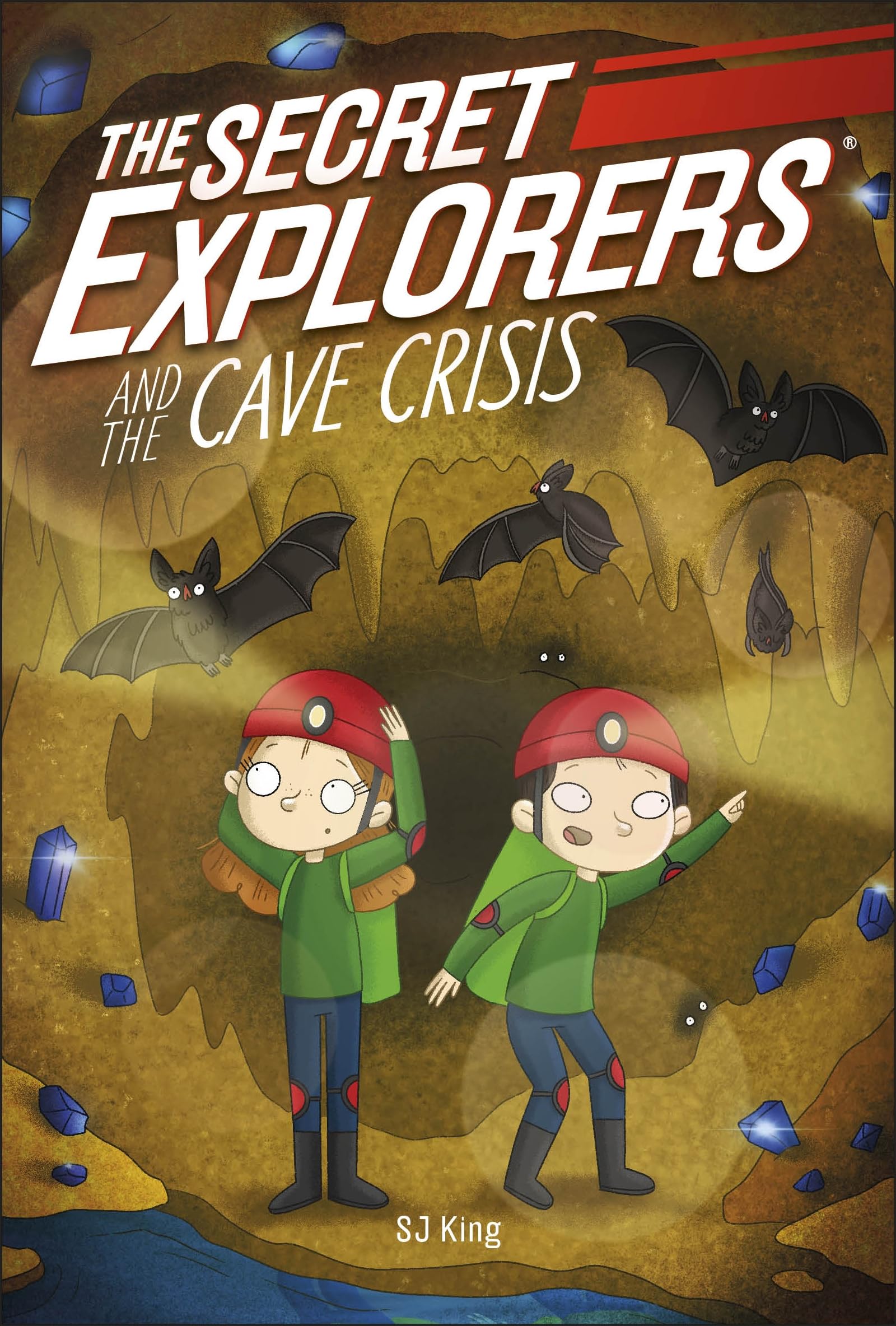 the secret explorers and the cave crisis - Ảnh 2