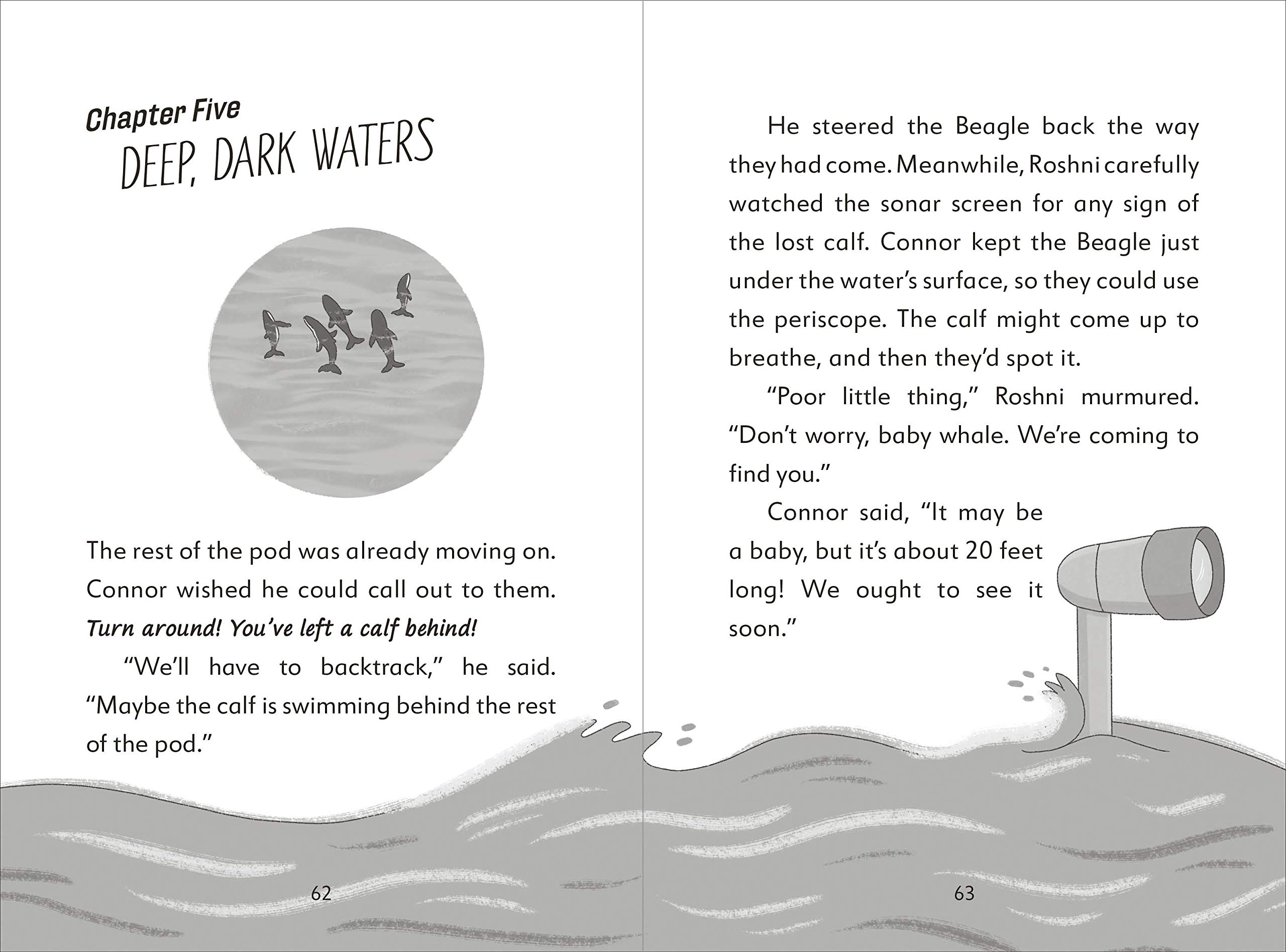 the secret explorers and the lost whales - Ảnh 3