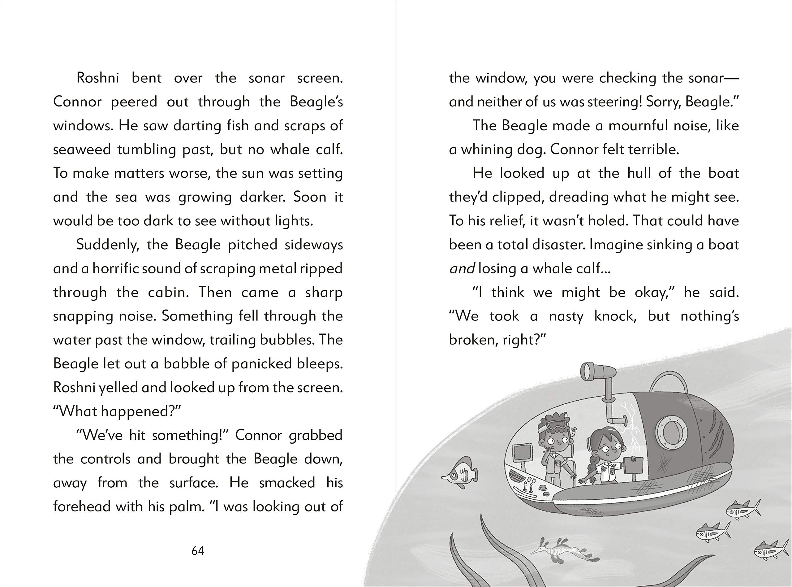 the secret explorers and the lost whales - Ảnh 4