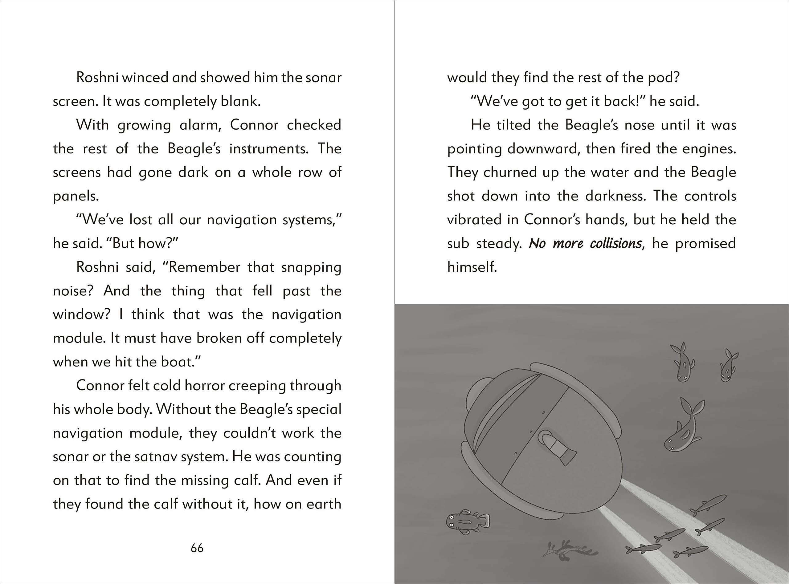 the secret explorers and the lost whales - Ảnh 5