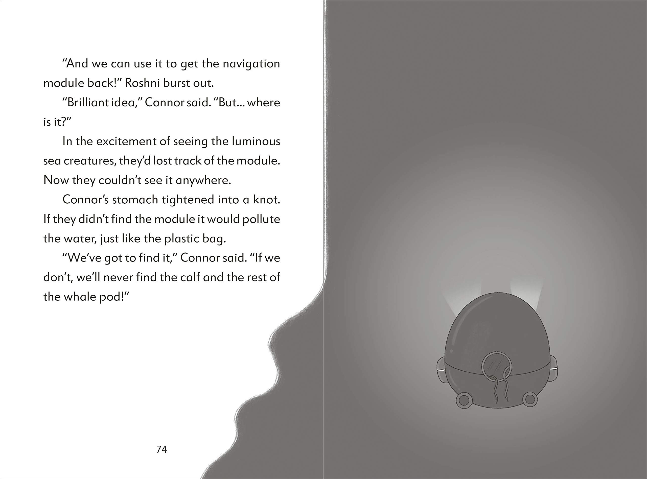 the secret explorers and the lost whales - Ảnh 9