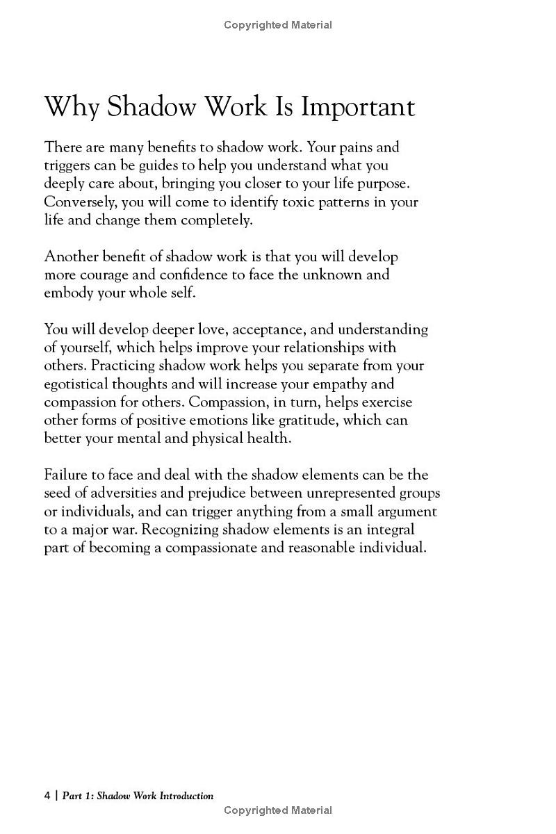 the shadow work journal - Ảnh 6