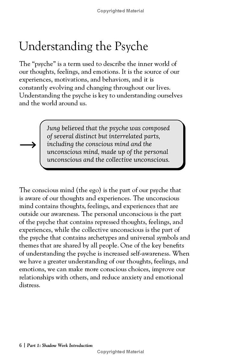 the shadow work journal - Ảnh 8