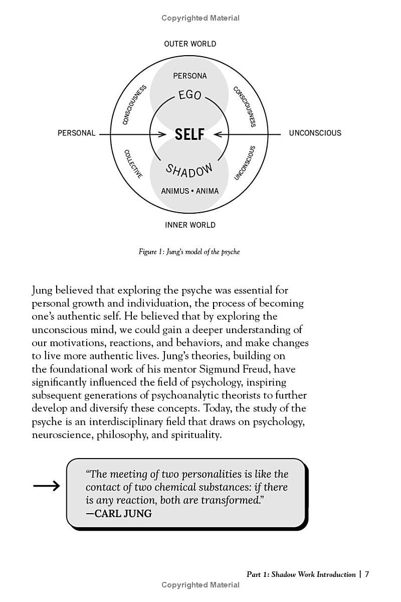 the shadow work journal - Ảnh 9