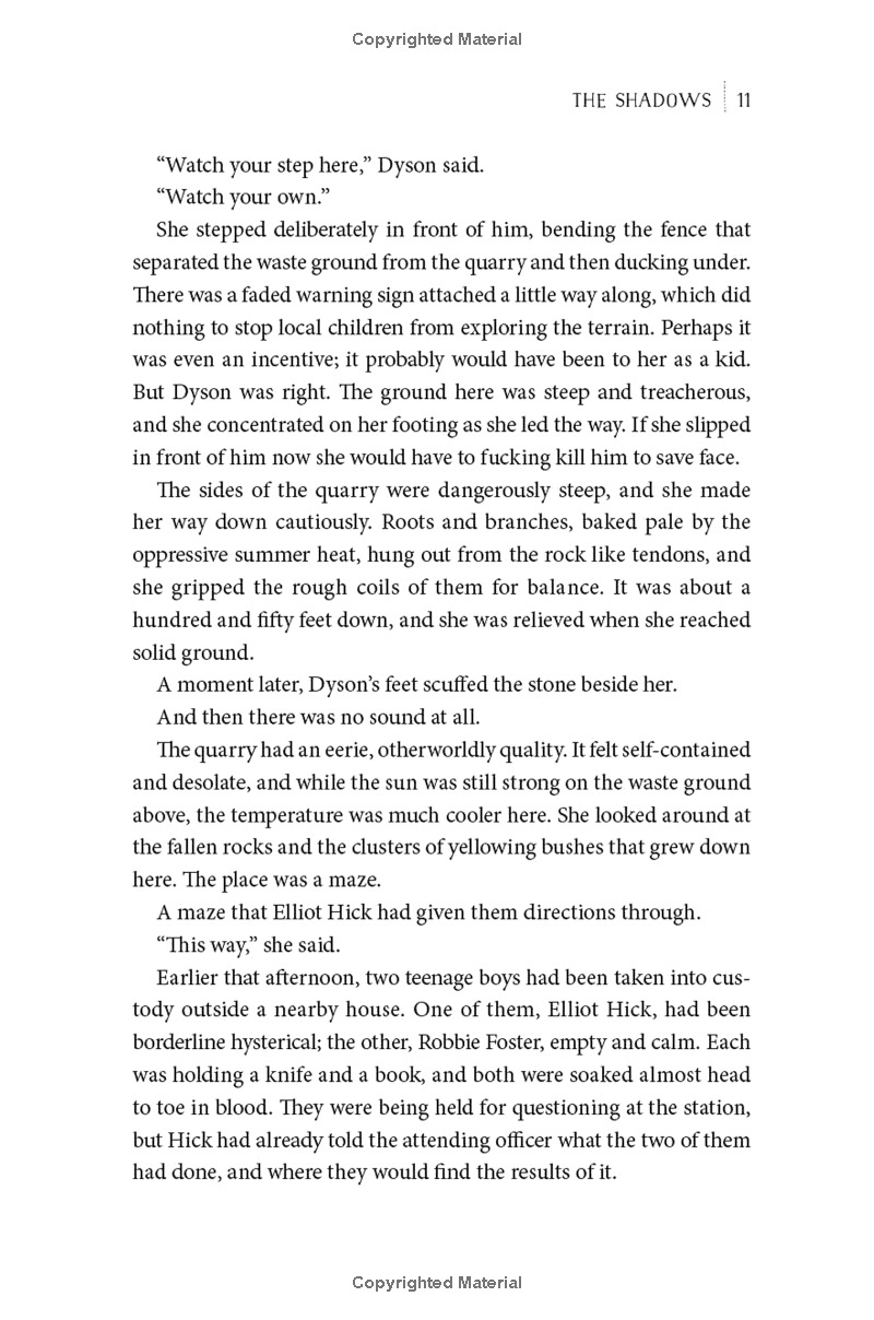 the shadows - Ảnh 10