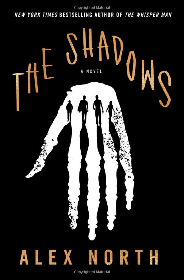the shadows - Ảnh 2