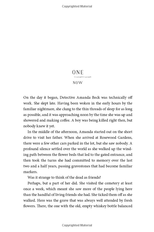 the shadows - Ảnh 6