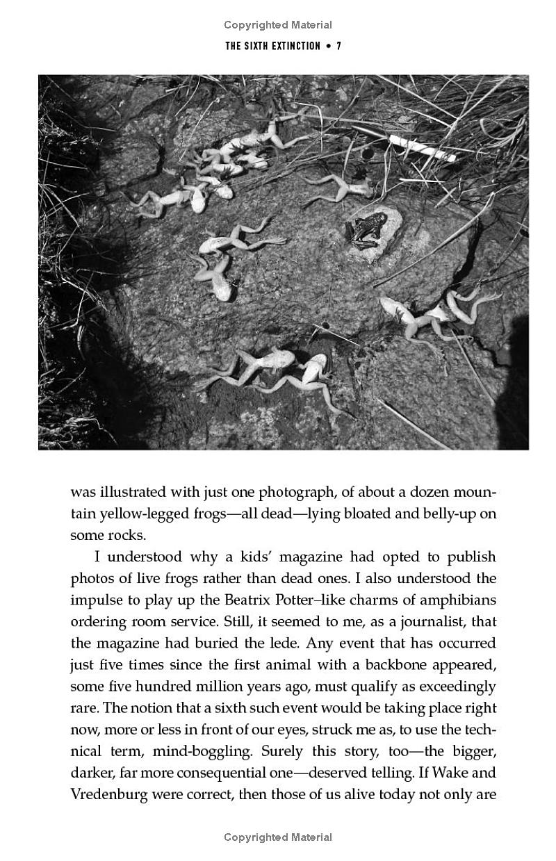 the sixth extinction (10th anniversary edition) - Ảnh 11