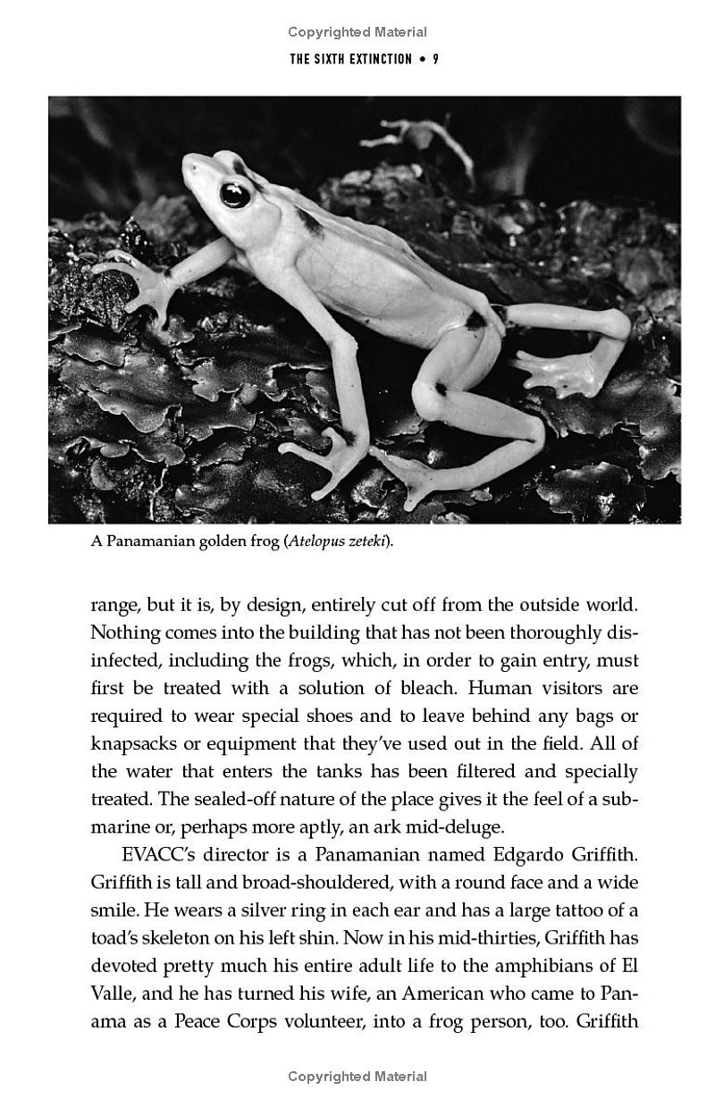 the sixth extinction (10th anniversary edition) - Ảnh 13