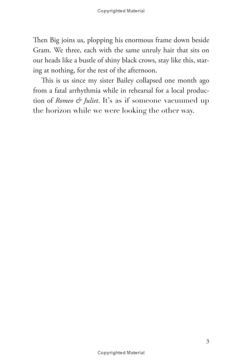 the sky is everywhere (movie tie-in) - Ảnh 10