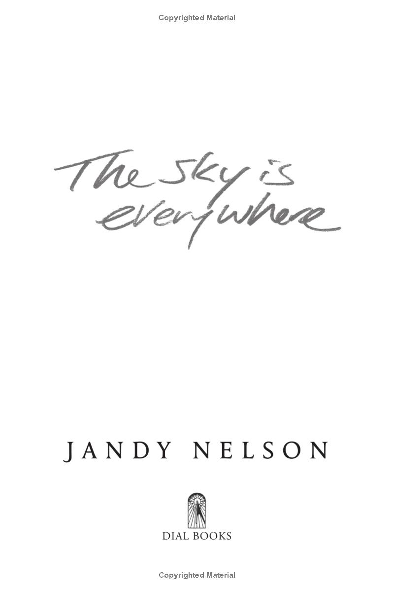 the sky is everywhere (movie tie-in) - Ảnh 6
