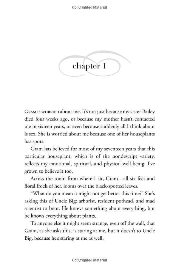 the sky is everywhere (movie tie-in) - Ảnh 8