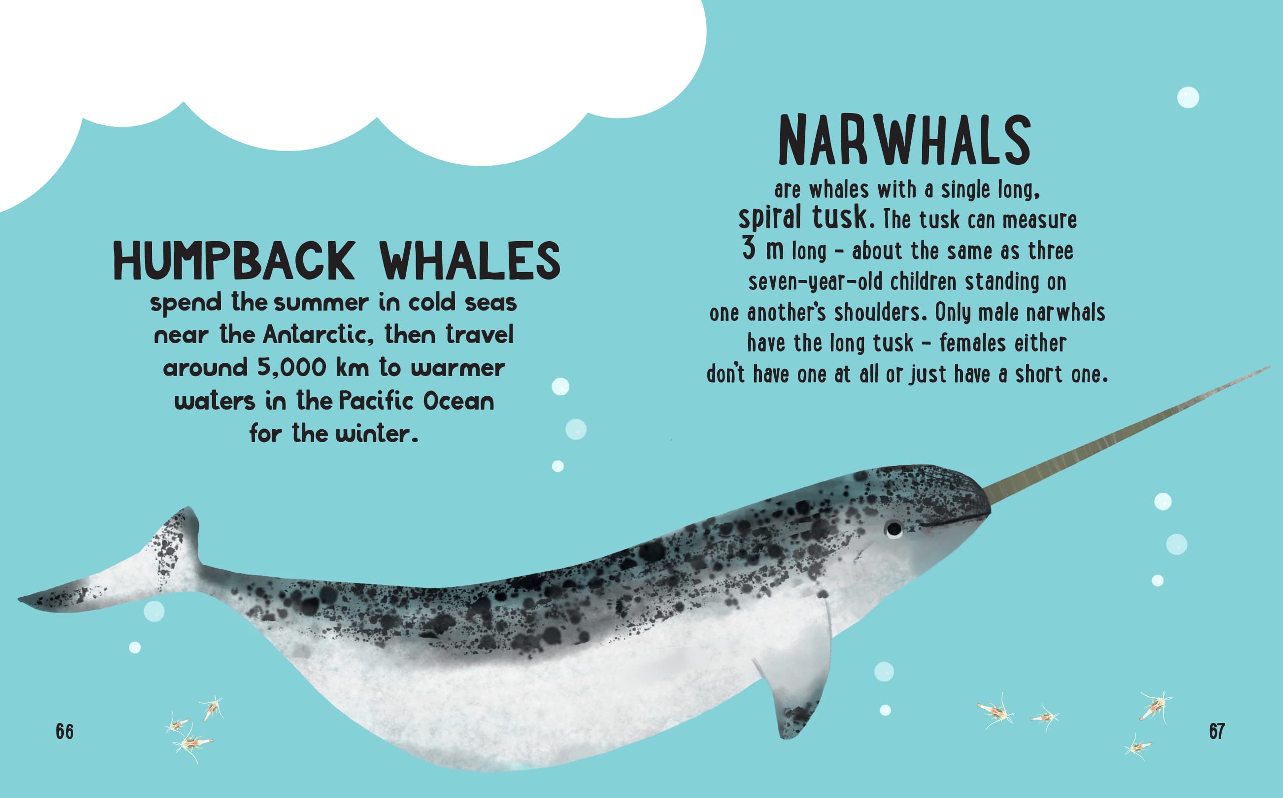 the small and mighty book of oceans: pocket-sized books, massive facts! - Ảnh 10