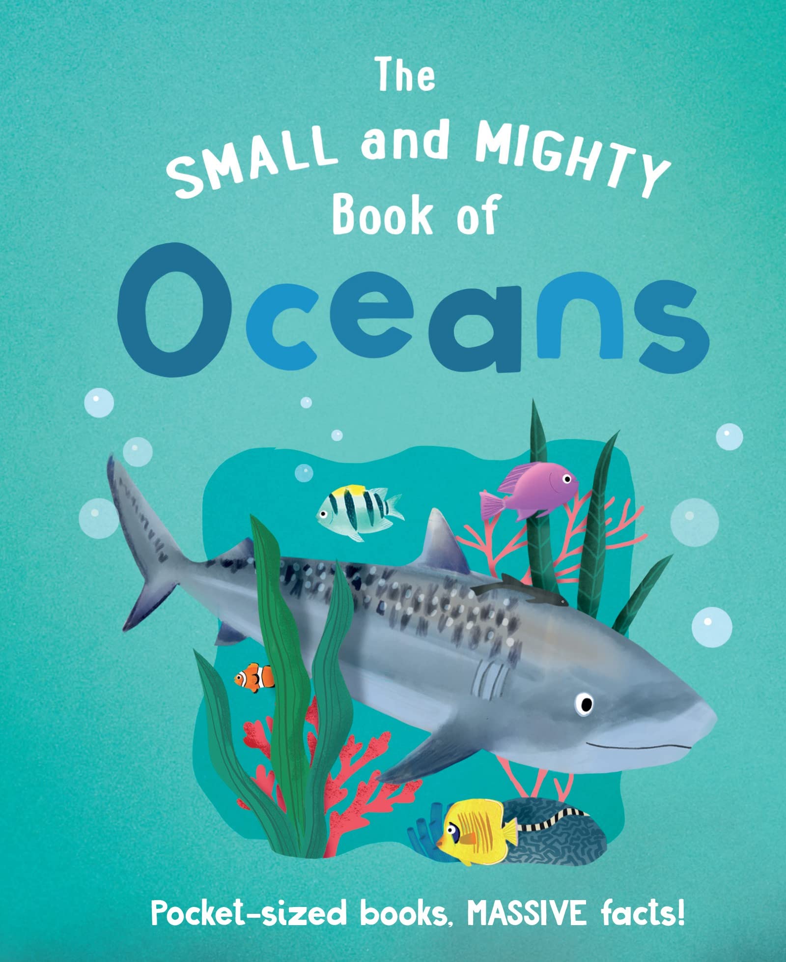 the small and mighty book of oceans: pocket-sized books, massive facts! - Ảnh 2