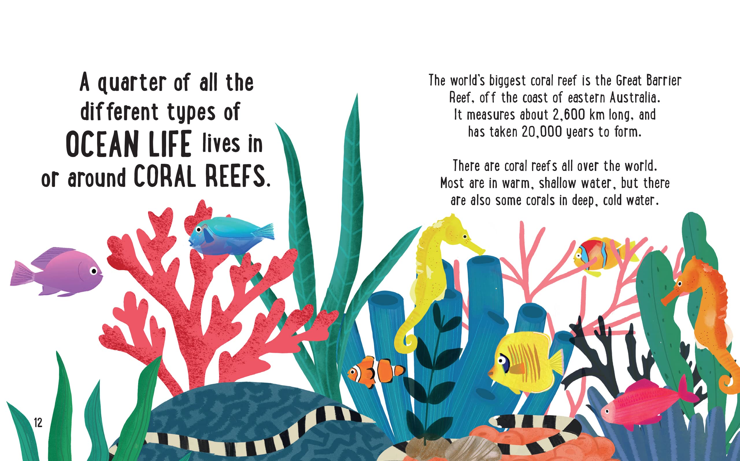 the small and mighty book of oceans: pocket-sized books, massive facts! - Ảnh 5