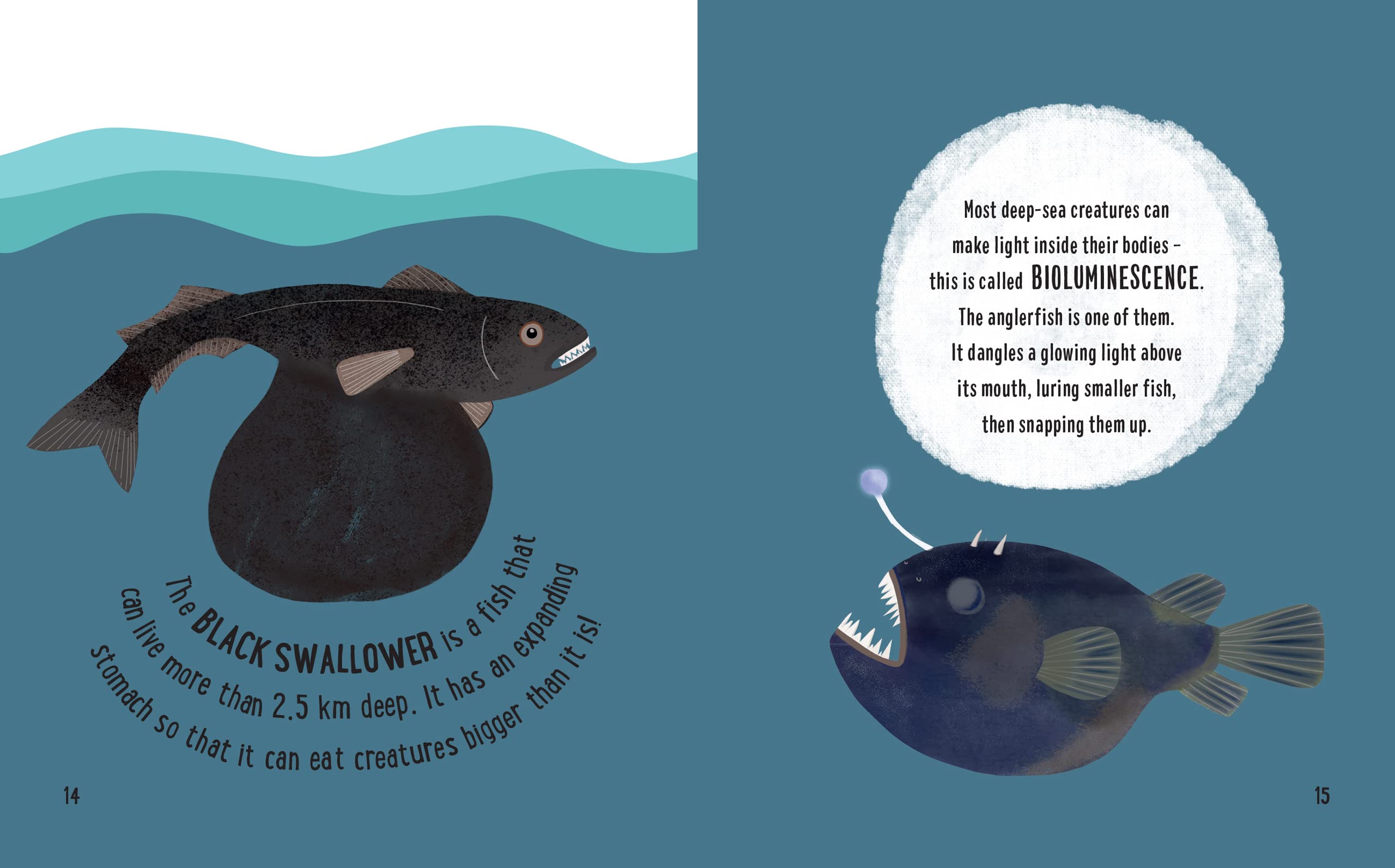 the small and mighty book of oceans: pocket-sized books, massive facts! - Ảnh 6