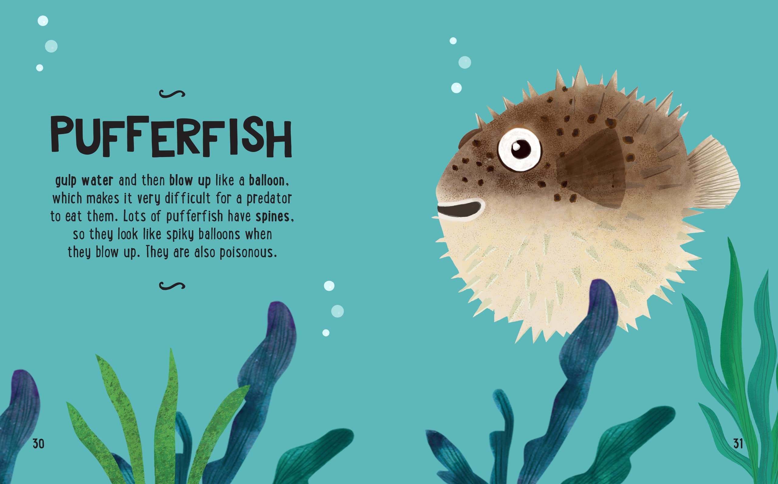 the small and mighty book of oceans: pocket-sized books, massive facts! - Ảnh 7