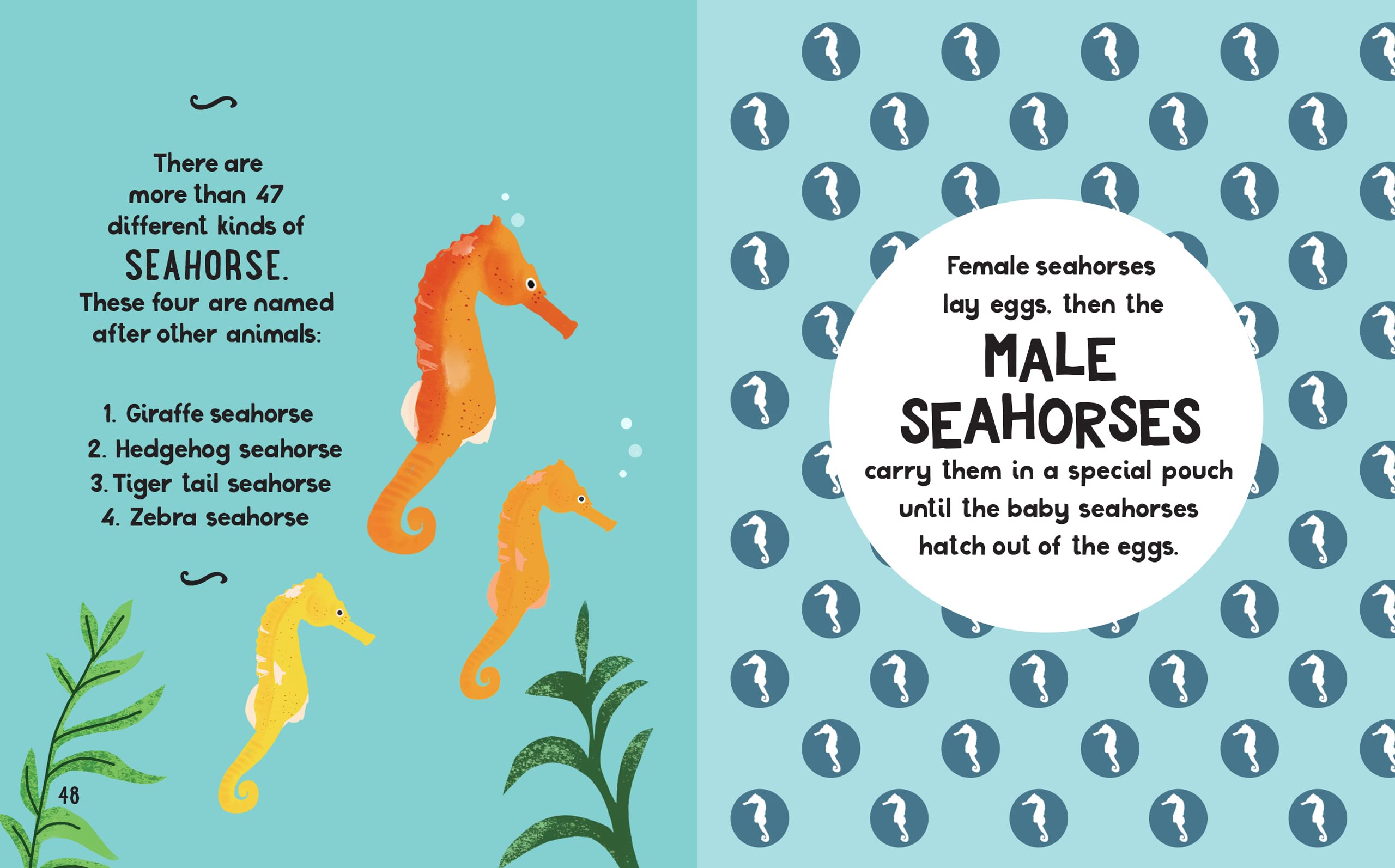 the small and mighty book of oceans: pocket-sized books, massive facts! - Ảnh 8