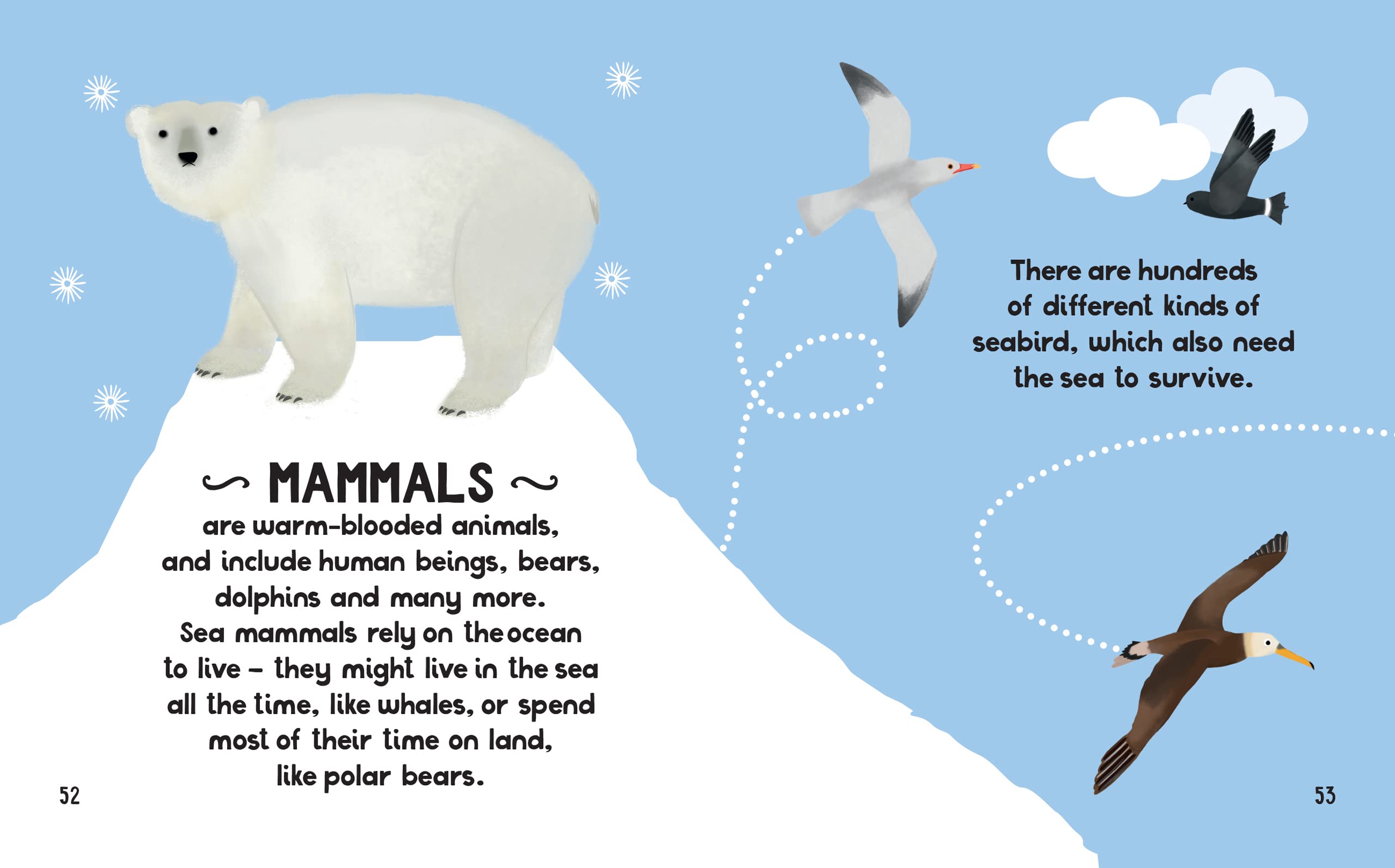 the small and mighty book of oceans: pocket-sized books, massive facts! - Ảnh 9