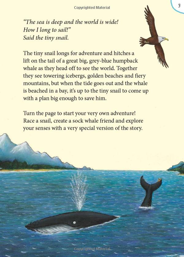 the snail and the whale and friends outdoor activity book - Ảnh 10