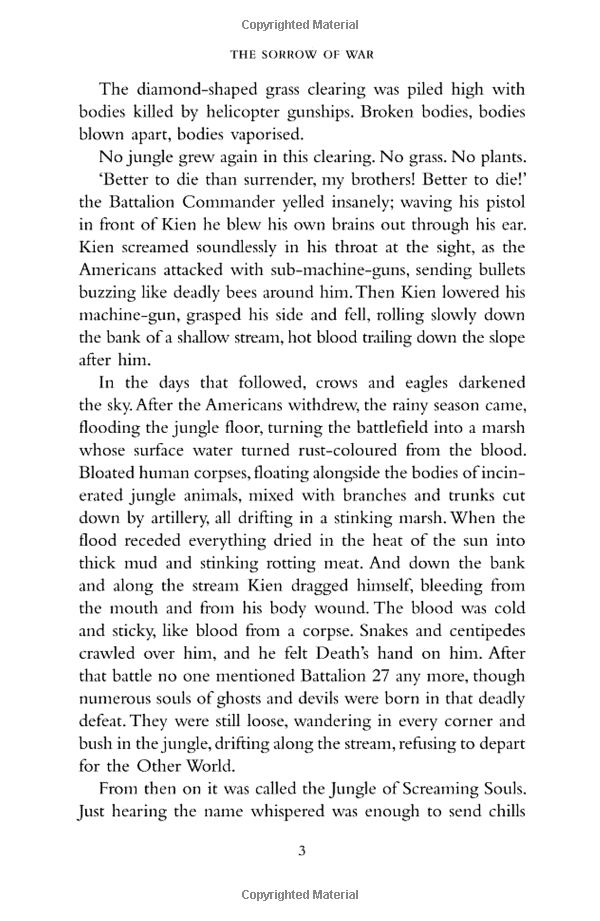 The Sorrow of war - Ảnh 7