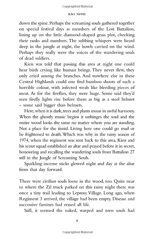 The Sorrow of war - Ảnh 8