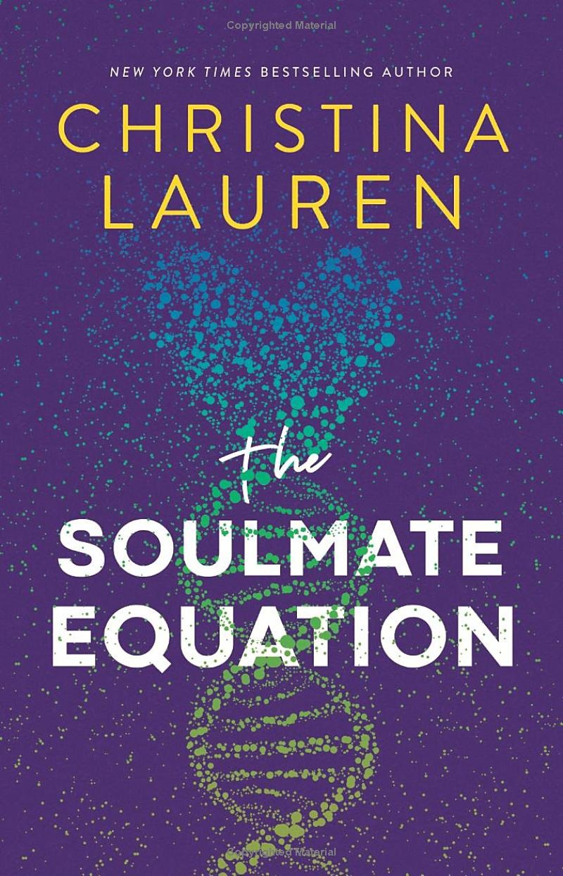 the soulmate equation - Ảnh 2