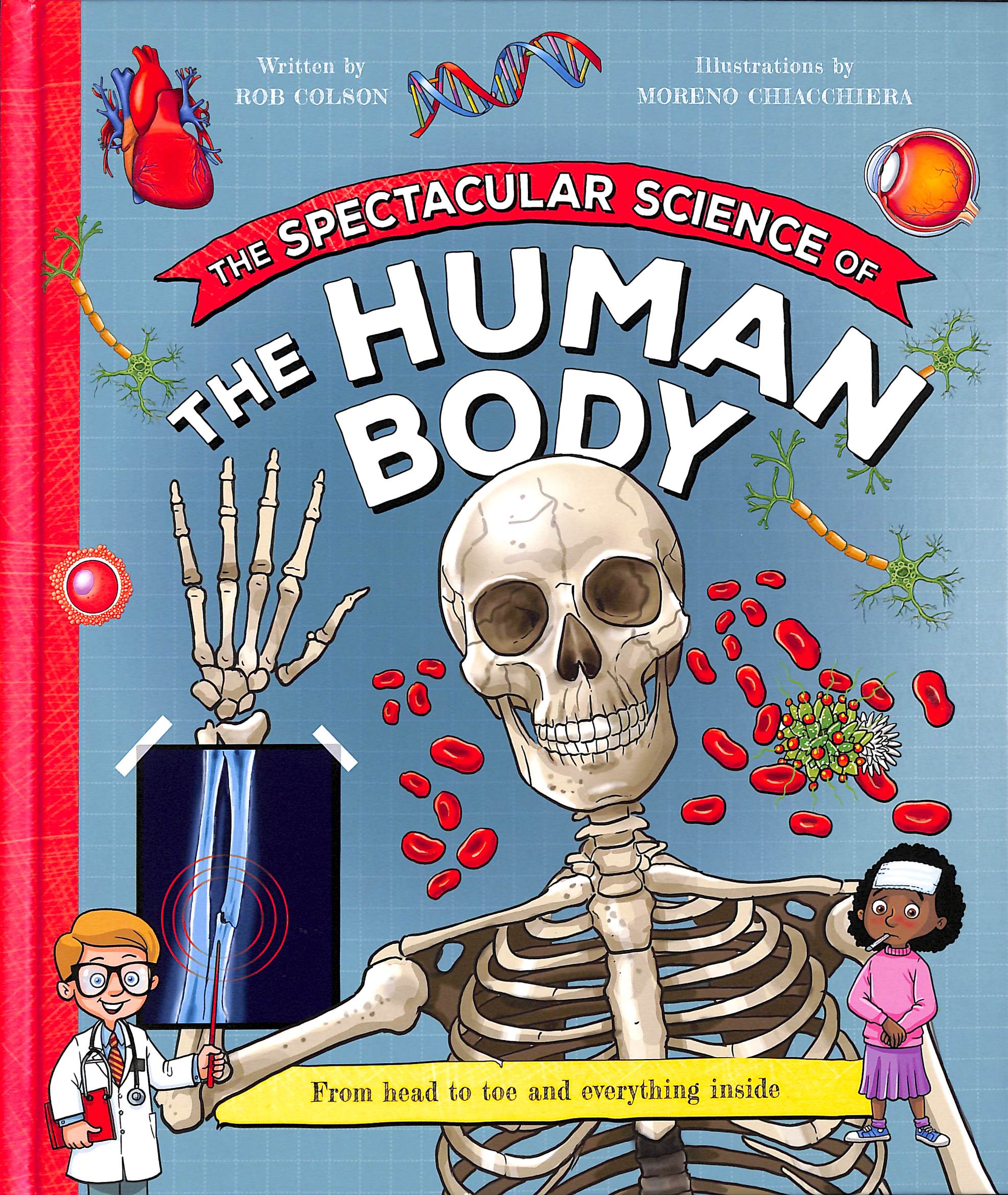 the spectacular science of the human body - Ảnh 2