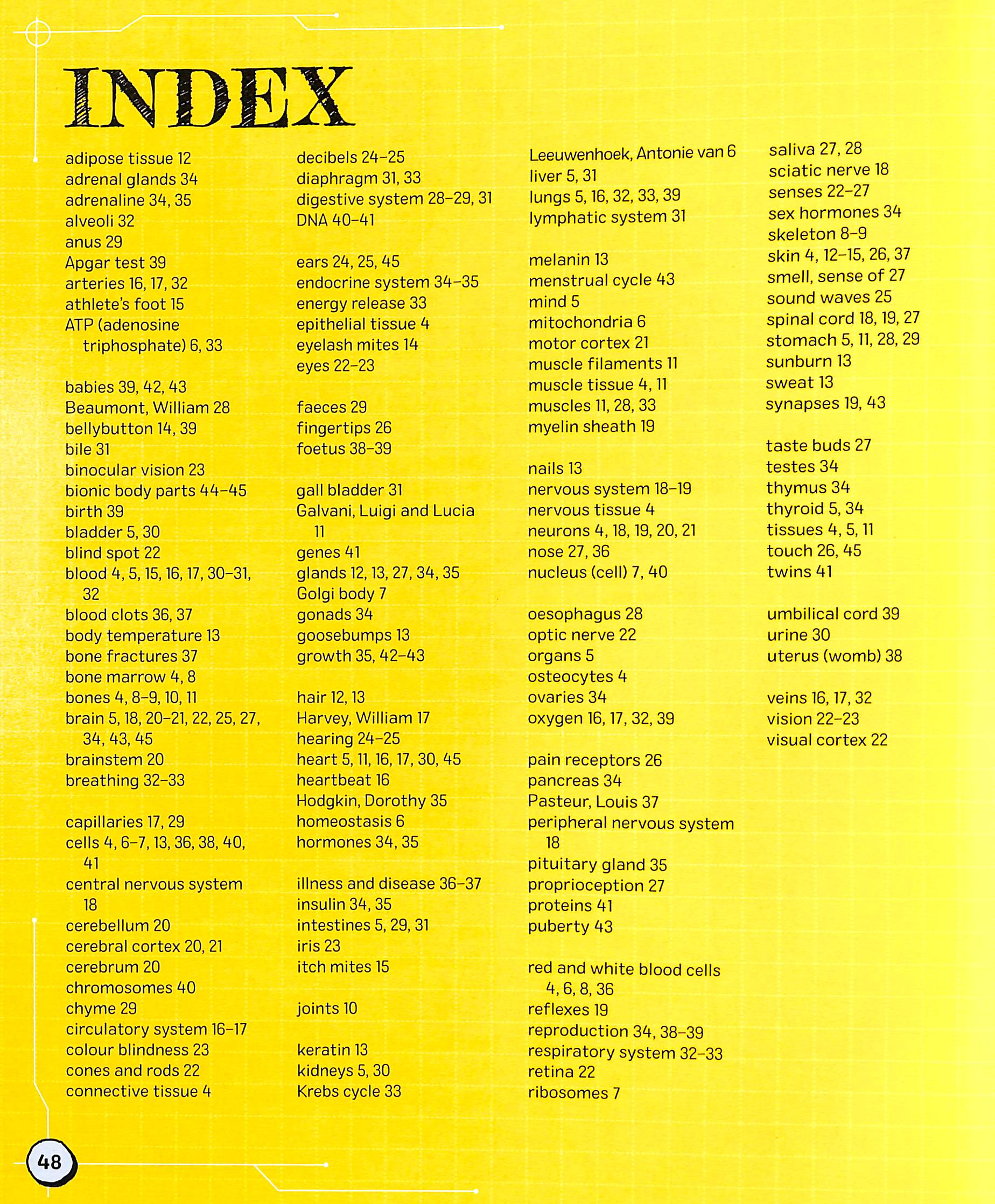 the spectacular science of the human body - Ảnh 5